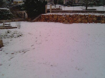 IMAG1364.jpg