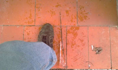 IMAG0107.jpg