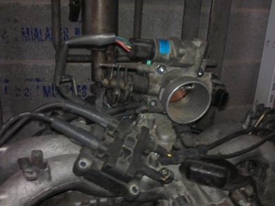 IMAG0940.jpg