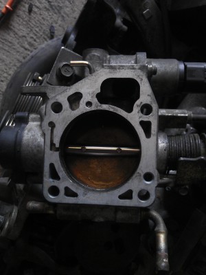 IMAG0962.jpg