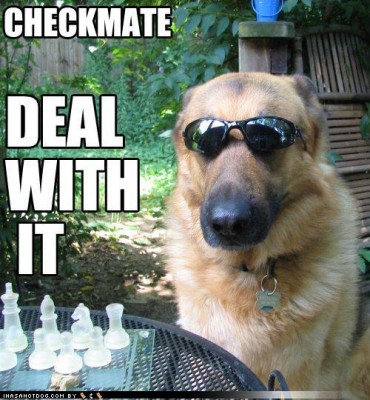deal with it.jpg