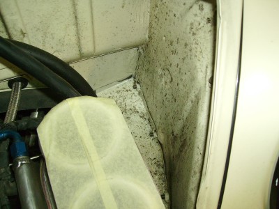 IMGP0126.JPG (74.75 Kio) Vu 5114 fois Il y en avait partout