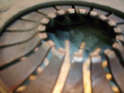 IMGP0140.JPG (48.29 Kio) Vu 4876 fois Bien bouffé!