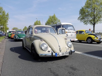 IMG_20170501_104235.jpg (103.07 Kio) Vu 9543 fois Gros t4