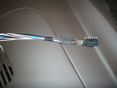 fils 003.jpg