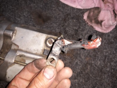 20180526_153905.jpg (64.05 Kio) Vu 10016 fois La fautive