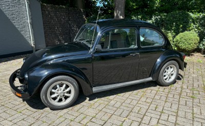 mybug.jpg