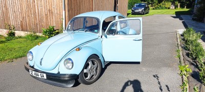 IMG_20240811_094054.jpg