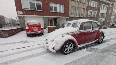 2026-02-15 17.26.40.jpg