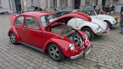 2026-02-15 13.09.59.jpg