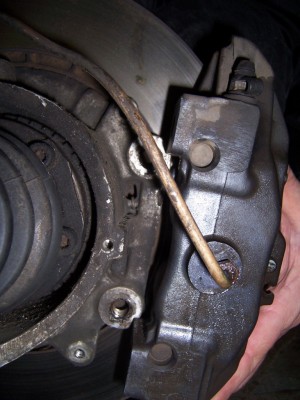 Boxsteraklauw002.jpg