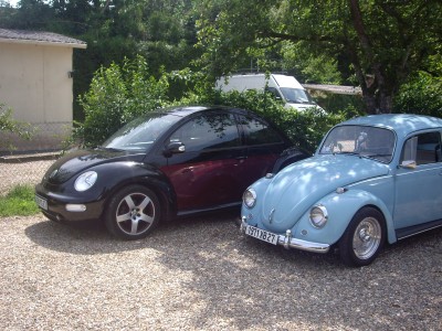 IMGP1068.JPG (124.49 Kio) Vu 6462 fois cox et ma beetle