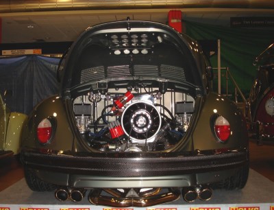 738845.jpg