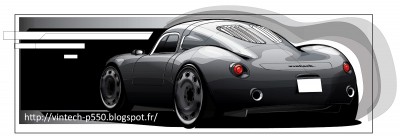 porsche 550 vintech carbone