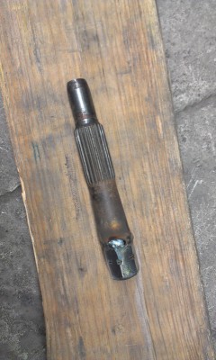 IMAG0739.jpg